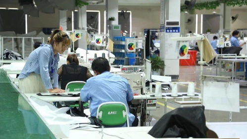 厲害了！湖州新增一中國馳名商標，網絡技術研發實力再獲認可